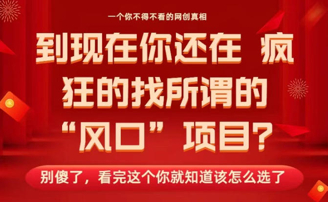 马上26年了，你还在找所谓的风口项目？别傻了，看完这个你全都懂了！【揭秘】-佳腾网赚