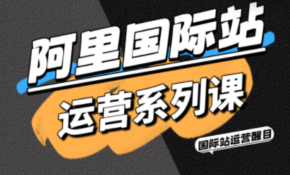 醒目老师·阿里国际站运营系列课(更新11月)-佳腾网赚