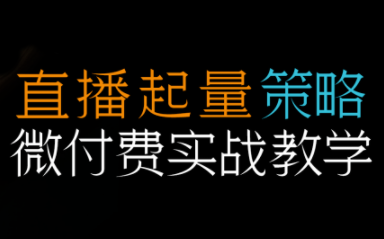 半野老师·直播带货起量与微付费必学课视频号-佳腾网赚