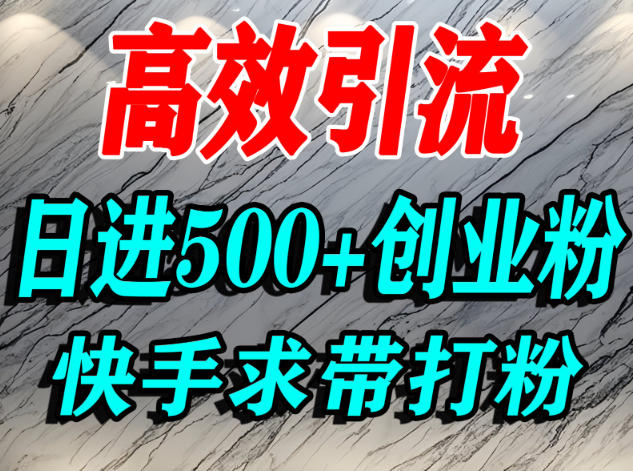 怎么打创业粉？快手求带视角精准引流创业粉，宝妈、学生群体日进500+精准流量-佳腾网赚