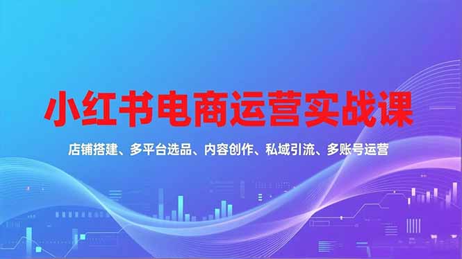 小红书电商运营实战课，店铺搭建、多平台选品、内容创作、私域引流、多账号运营等玩法-佳腾网赚