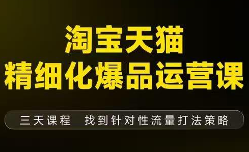 猫课子幽·淘宝天猫精细化爆品运营【音频+字幕+文档】(9月12-14杭州线下课)-佳腾网赚
