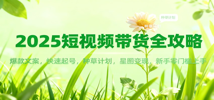 2025短视频带货全攻略：爆款文案，快速起号，种草计划，星图变现，新手零门槛上手-佳腾网赚