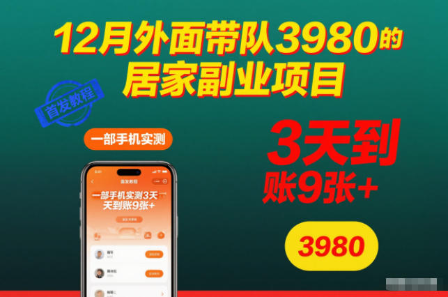 12月外面带队3980的居家副业项目，一部手机实测3天到账9张+，首发教程【揭秘】-佳腾网赚
