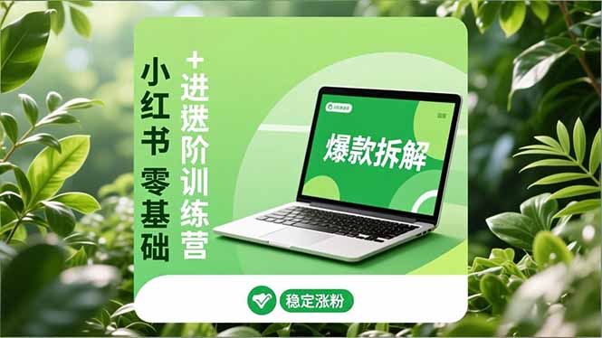 小红书零基础+高阶训练营：安全养号、爆款拆解、长效运营，实现稳定涨粉与变现-佳腾网赚