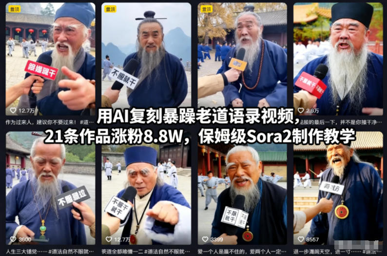 用AI复刻暴躁老道语录视频，21条作品涨粉8.8W，保姆级Sora2制作教学-佳腾网赚