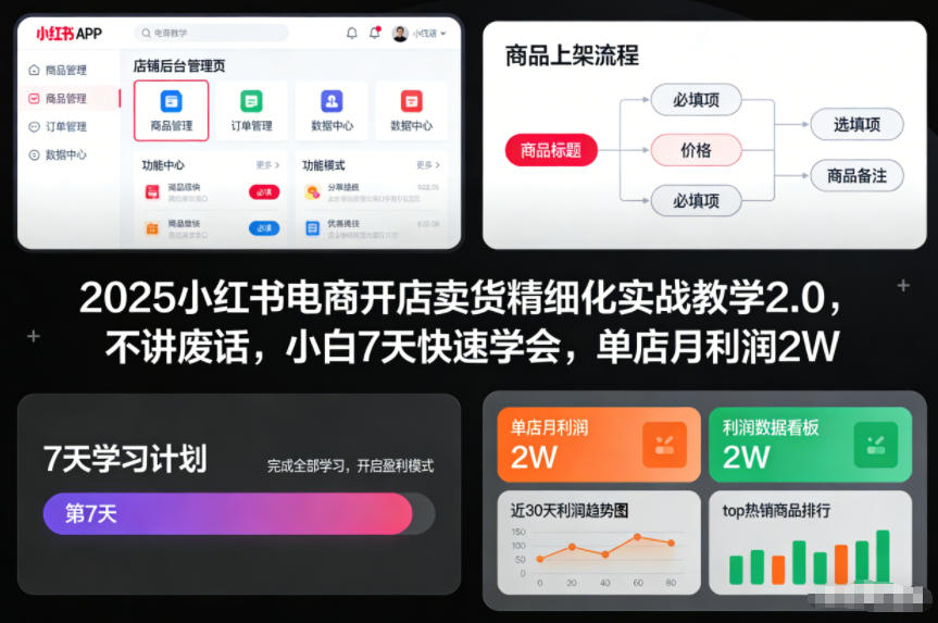 2025小红书电商开店卖货精细化实战教学2.0，不讲废话，小白7天快速学会，单店月利润2W-佳腾网赚
