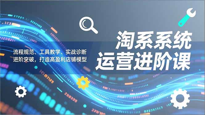 淘系系统运营进阶课2.0，流程规范、工具教学、实战诊断，进阶突破，打造高盈利店铺模型-佳腾网赚