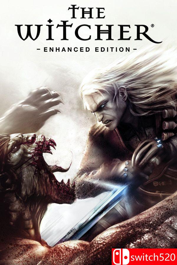 《巫师加强版（The Witcher: Enhanced Edition）》官方中文 v1.5 [繁体/英文]-佳腾网赚