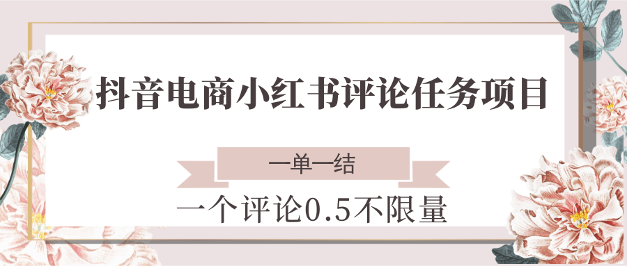 抖音电商小红书评论任务项目，一个评论0.5，一单一结 不限量-佳腾网赚
