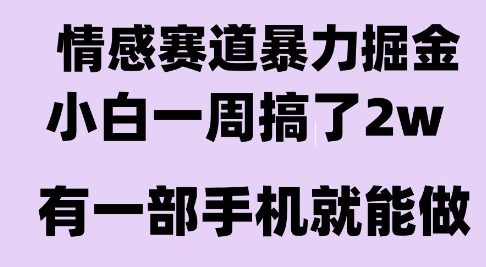 情感暴力掘金项目，新人操作一周挣了2W，长期稳定小白可做【揭秘】-佳腾网赚