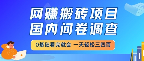 网创搬砖项目，国内问卷调查，小白轻松上手，一天三四张的也不难，干就完了【揭秘】-佳腾网赚
