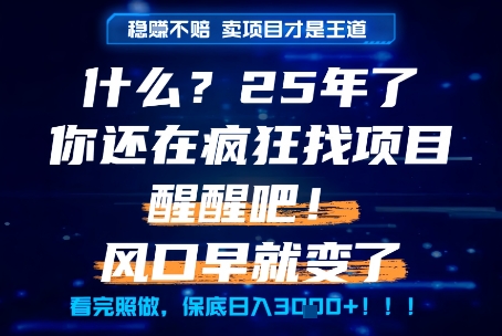 什么？25年你还在疯狂找项目做，醒醒吧，看完这些你全都懂了！【揭秘】-佳腾网赚
