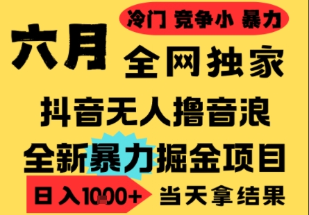 25年6月高爆抖音无人直播最新撸音浪掘金项目，小白可做，无脑日入1k+，门槛低可批量矩阵【揭秘】-佳腾网赚