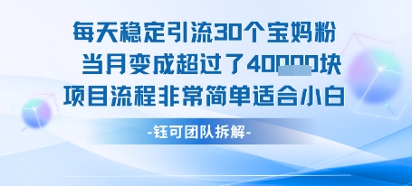 每天稳定引流30个人 当月变成超过了4个W项目流程非常简单适合小白-佳腾网赚