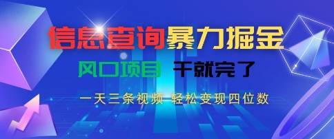信息查询暴力掘金，一天三条视频，轻松变现四位数，风口项目干就完了【揭秘】-佳腾网赚