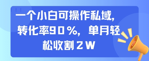 一个小白可操作私域，转化率90%，单月轻松收割2W-佳腾网赚