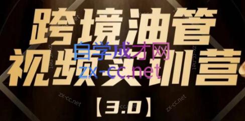 阿蔺Leo·跨境油管视频YouTube实训营(更新2025)-佳腾网赚