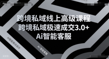 跨境私域线上高级课程，跨境私域极速成交3.0+Ai智能客服-佳腾网赚