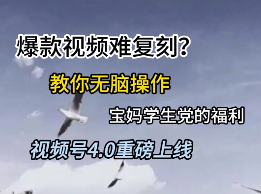 视频号4.0重磅上线，爆款视频难复刻？教你无脑操作宝妈学生党的福利【揭秘】-佳腾网赚