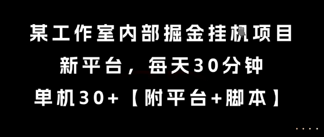 某工作室内部掘金挂G项目，新平台，每天30分钟，单机30+【揭秘】-佳腾网赚