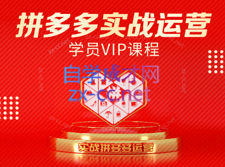 推易电商·拼多多实战运营课(更新2025月)-佳腾网赚