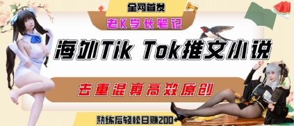 海外tiktok小说推文暴力项目，高停留率，高转化率，上手后一天搞顿饭钱不是问题-佳腾网赚