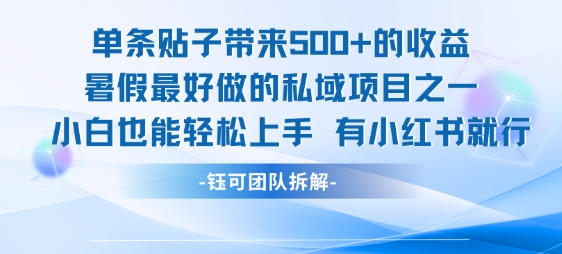 单条贴子带来5张的收益，暑假最好做的私域项目之一，小白也能轻松上手，有小红书就行-佳腾网赚