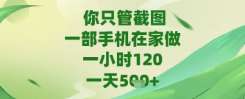 你只管截图，一部手机在家做，苹果安卓都可以，一天5张+【揭秘】-佳腾网赚