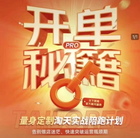 淘宝开单秘籍PRO，量身定制淘天实战陪跑计划，告别做店迷茫、快速突破运营瓶颈期(更新6月)-佳腾网赚
