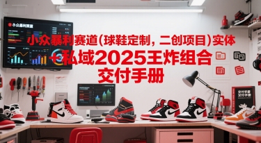 小众暴利赛道(球鞋定制，二创项目)实体+私域2025王炸组合  交付手册-佳腾网赚