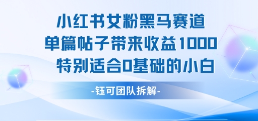 小红书女粉黑马赛道单篇帖子带来收益1k+，特别适合0基础的小白-佳腾网赚
