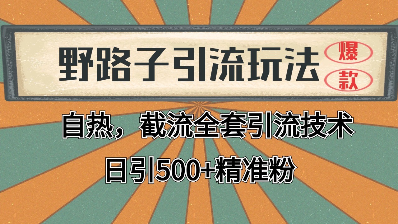 2024首发野路子引流玩法截流自热全平台打法，全自动引流【日引2000+精准客户】-佳腾网赚