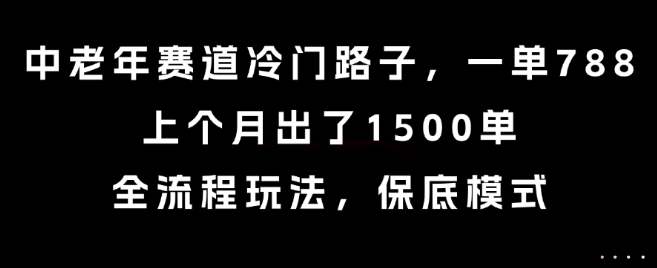中老年赛道冷门路子，一单788，上个月出了1500单，全流程玩法，保底模式【揭秘】-佳腾网赚