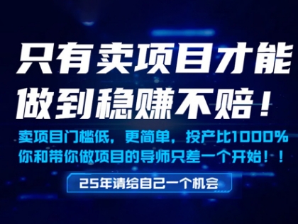 只有卖项目才能做到稳挣不赔，门槛低，更简单，你也可以年入百个W【揭秘】-佳腾网赚