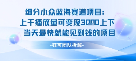 小众蓝海赛道项目：当天变现1k+适合新手操作 +适合长期玩-佳腾网赚