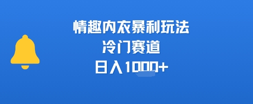 情趣内衣暴利玩法，冷门赛道，日入1k+-佳腾网赚