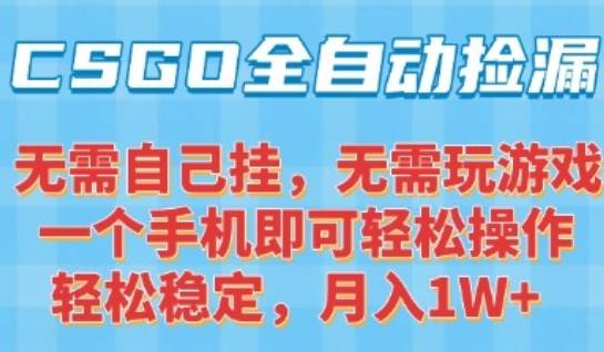 CSGO自动捡漏项目，最新独家玩法，一个手机可操作，新手小白轻松月入1W+，操作简单易上手【揭秘】-佳腾网赚